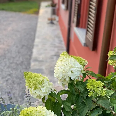 Il Mallo - Bed & Breakfast